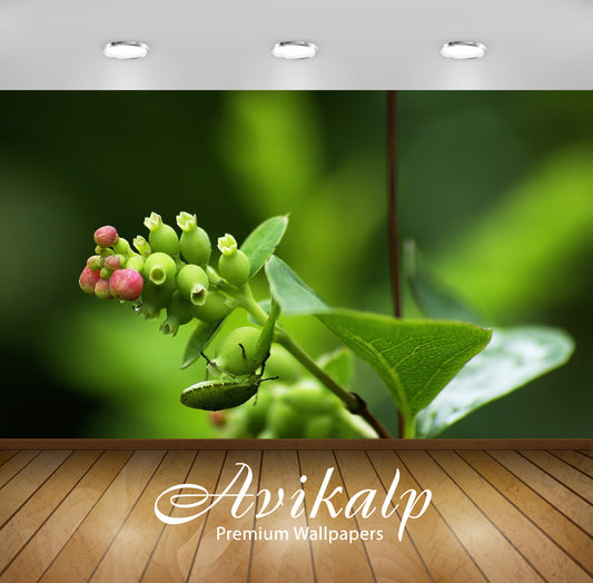 Avikalp Exclusive AWI858 Nature HD Wallpapers for Living room, Hall, Kids Room, Kitchen, TV Backgrou