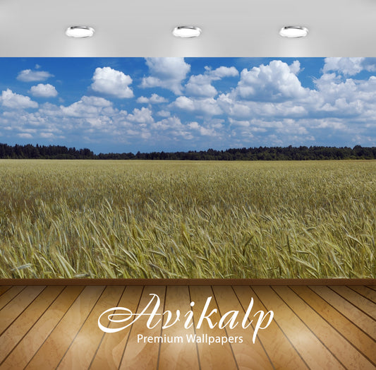 Avikalp Exclusive AWI869 Nature HD Wallpapers for Living room, Hall, Kids Room, Kitchen, TV Backgrou