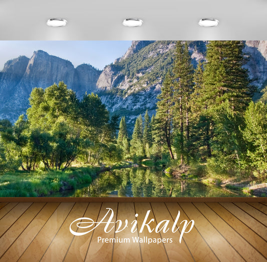 Avikalp Exclusive AWI888 Nature HD Wallpapers for Living room, Hall, Kids Room, Kitchen, TV Backgrou