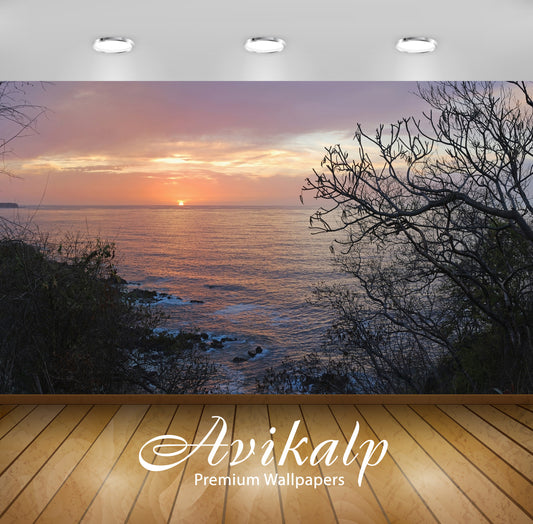 Avikalp Exclusive AWI925 Nature HD Wallpapers for Living room, Hall, Kids Room, Kitchen, TV Backgrou