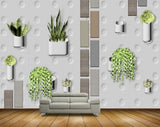Avikalp MWZ1421 Pots Snakeplants Creepers 3D HD Wallpaper Avikalp MWZ1421 Pots Snakeplants Creepers 3D HD Wallpaper