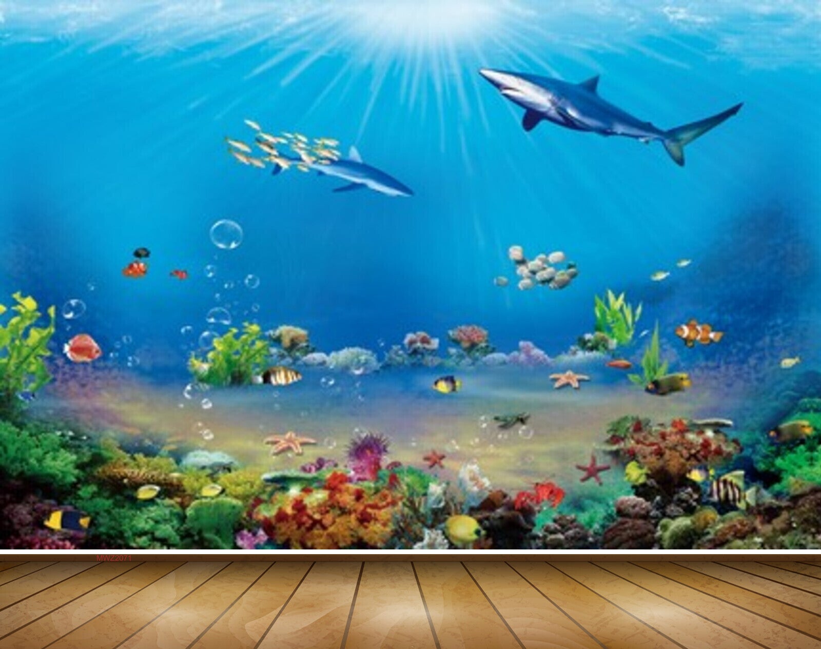 Avikalp MWZ2071 Sea Fishes Starfish Plants Stones Ocean Water Marine Underwater HD Wallpaper Avikalp MWZ2071 Sea Fishes Starfish Plants Stones Ocean Water Marine Underwater HD Wallpaper