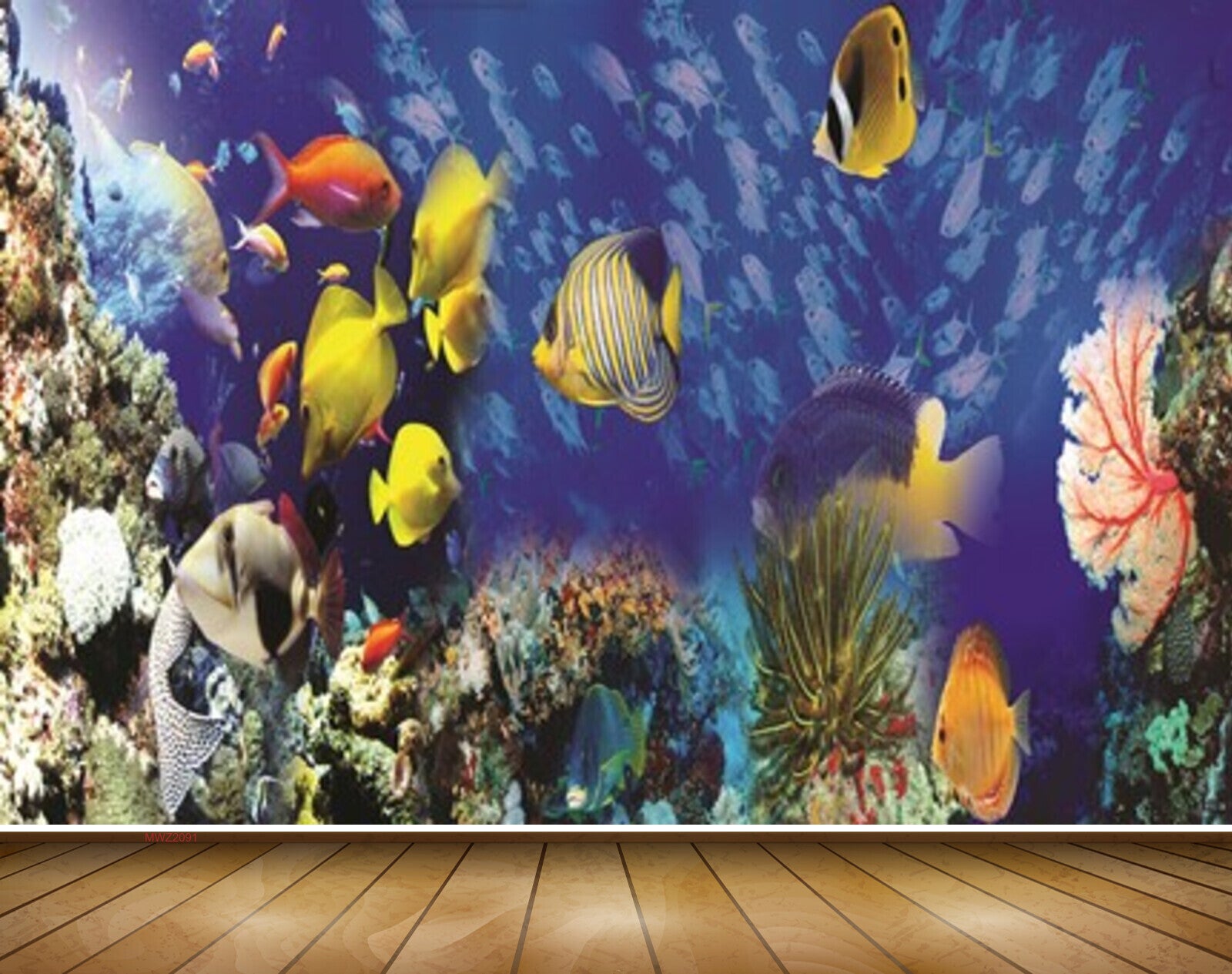 Avikalp MWZ2091 Fishes Anemone Plants Stones Sea Underwater HD Wallpaper Avikalp MWZ2091 Fishes Anemone Plants Stones Sea Underwater HD Wallpaper