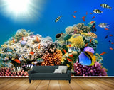 Avikalp MWZ2092 Sea Fishes Anemone Sun Light Underwater Ocean HD Wallpaper Avikalp MWZ2092 Sea Fishes Anemone Sun Light Underwater Ocean HD Wallpaper