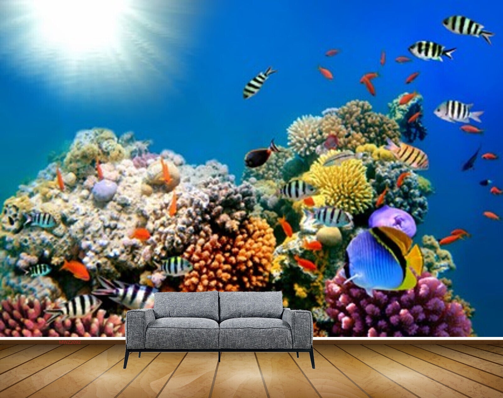 Avikalp MWZ2092 Sea Fishes Anemone Sun Light Underwater Ocean HD Wallpaper Avikalp MWZ2092 Sea Fishes Anemone Sun Light Underwater Ocean HD Wallpaper