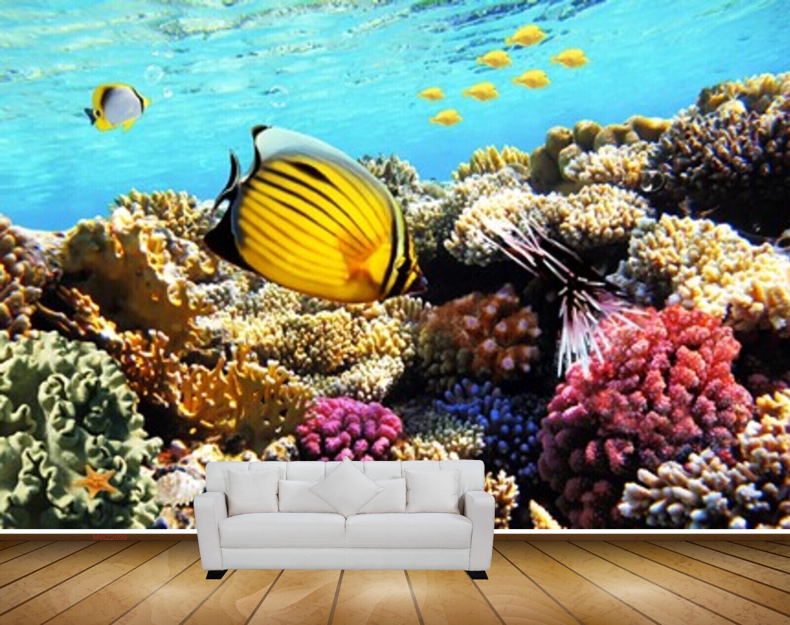 Avikalp MWZ2099 Sea Anemones Fishes Underwater HD Wallpaper Avikalp MWZ2099 Sea Anemones Fishes Underwater HD Wallpaper