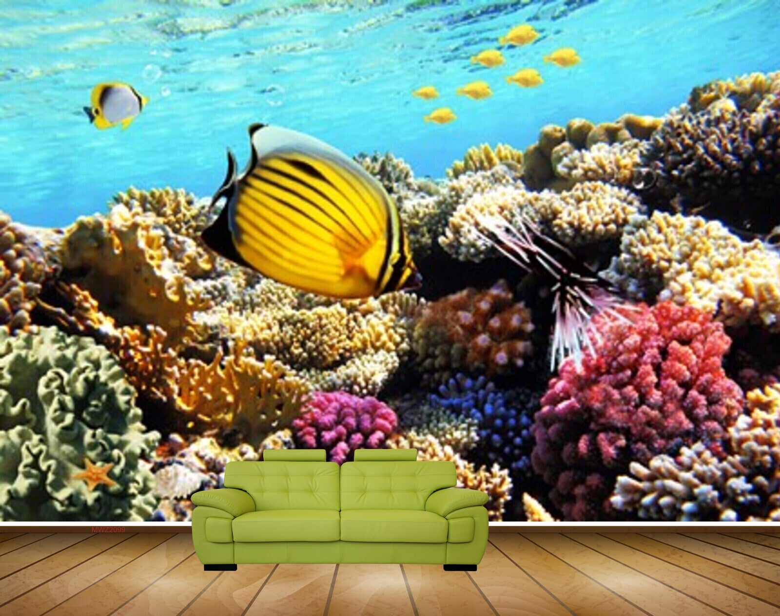 Avikalp MWZ2099 Sea Anemones Fishes Underwater HD Wallpaper Avikalp MWZ2099 Sea Anemones Fishes Underwater HD Wallpaper