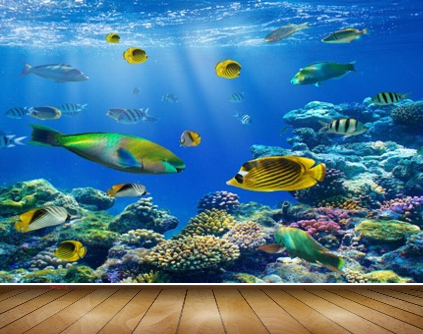 Avikalp MWZ2102 Sea Fishes Anemones Underwater HD Wallpaper Avikalp MWZ2102 Sea Fishes Anemones Underwater HD Wallpaper