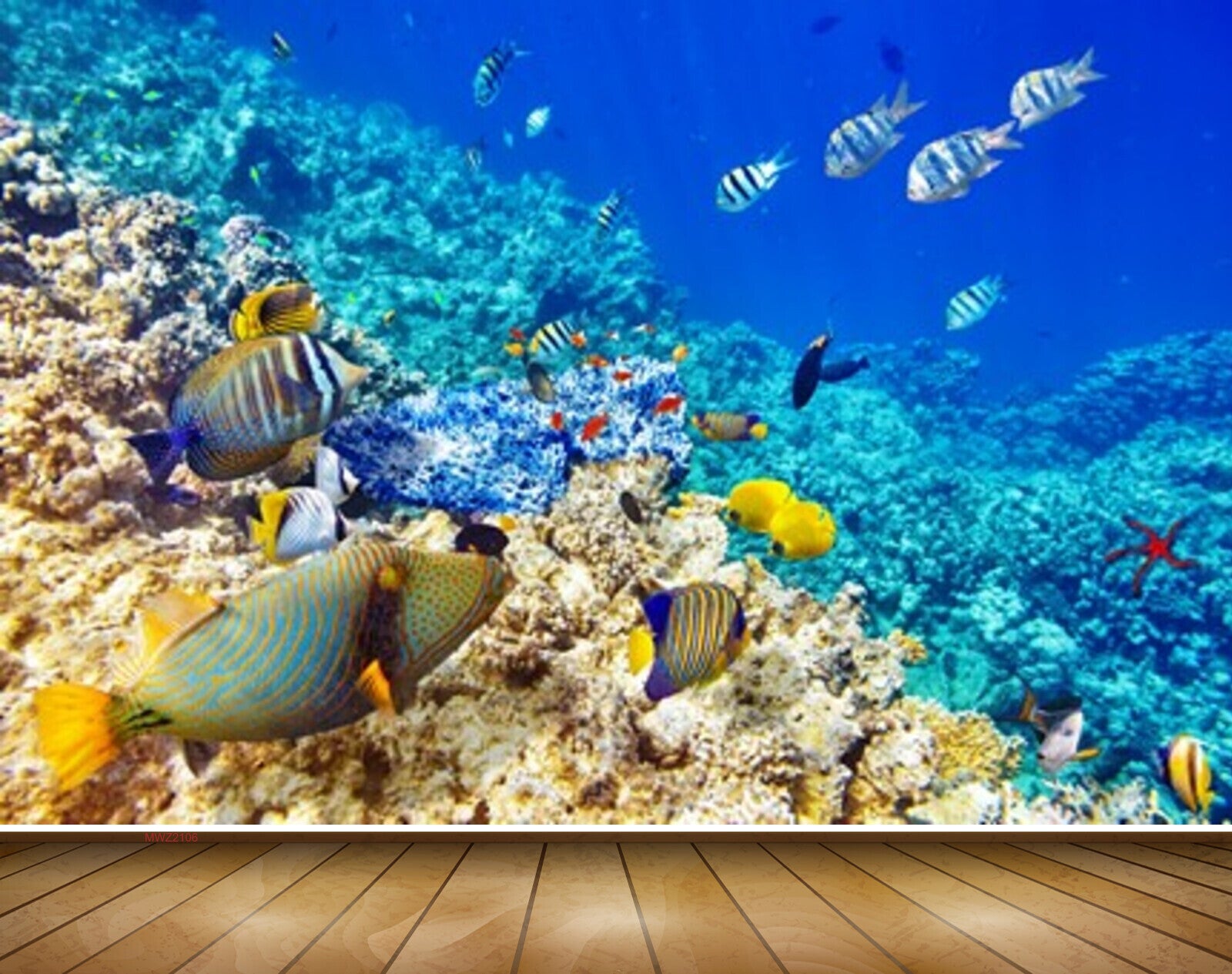 Avikalp MWZ2106 Sea Fishes Stones Underwater Ocean HD Wallpaper Avikalp MWZ2106 Sea Fishes Stones Underwater Ocean HD Wallpaper