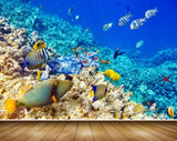 Avikalp MWZ2106 Sea Fishes Stones Underwater Ocean HD Wallpaper Avikalp MWZ2106 Sea Fishes Stones Underwater Ocean HD Wallpaper