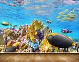 Avikalp MWZ2107 Sea Fishes Stones Underwater Ocean HD Wallpaper Avikalp MWZ2107 Sea Fishes Stones Underwater Ocean HD Wallpaper
