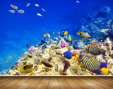 Avikalp MWZ2109 Sea Fishes Stones Underwater Ocean HD Wallpaper Avikalp MWZ2109 Sea Fishes Stones Underwater Ocean HD Wallpaper