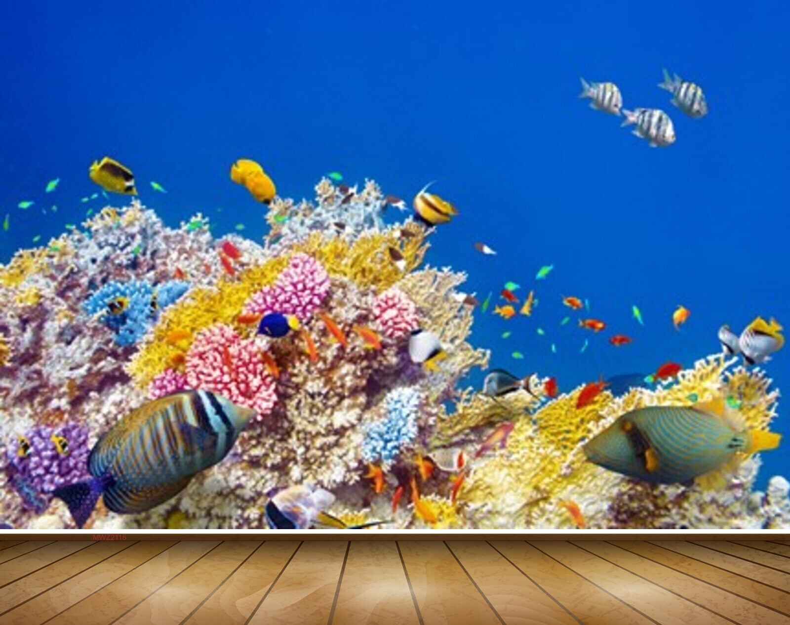 Avikalp MWZ2115 Sea Fishes Anemones Underwater Ocean HD Wallpaper Avikalp MWZ2115 Sea Fishes Anemones Underwater Ocean HD Wallpaper