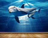 Avikalp MWZ2151 Sea Dolphins Swim Undertwater Water HD Wallpaper Avikalp MWZ2151 Sea Dolphins Swim Undertwater Water HD Wallpaper