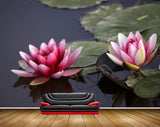 Avikalp MWZ2341 Pink Lotus Flower Leaves HD Wallpaper Avikalp MWZ2341 Pink Lotus Flower Leaves HD Wallpaper