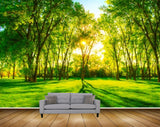 Avikalp MWZ2424 Sun Trees Grass Branches Forest HD Wallpaper Avikalp MWZ2424 Sun Trees Grass Branches Forest HD Wallpaper