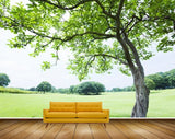 Avikalp MWZ2576 Trees Grass Green Land Garden HD Wallpaper Avikalp MWZ2576 Trees Grass Green Land Garden HD Wallpaper