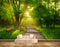 Avikalp MWZ2618 Trees Branches Deers Grass Wooden Forest Sunlight HD Wallpaper