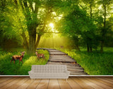 Avikalp MWZ2618 Trees Branches Deers Grass Wooden Forest Sunlight HD Wallpaper Avikalp MWZ2618 Trees Branches Deers Grass Wooden Forest Sunlight HD Wallpaper