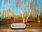Avikalp MWZ2851 Trees Soil Stems Sky Forest Branches Painting HD Wallpaper