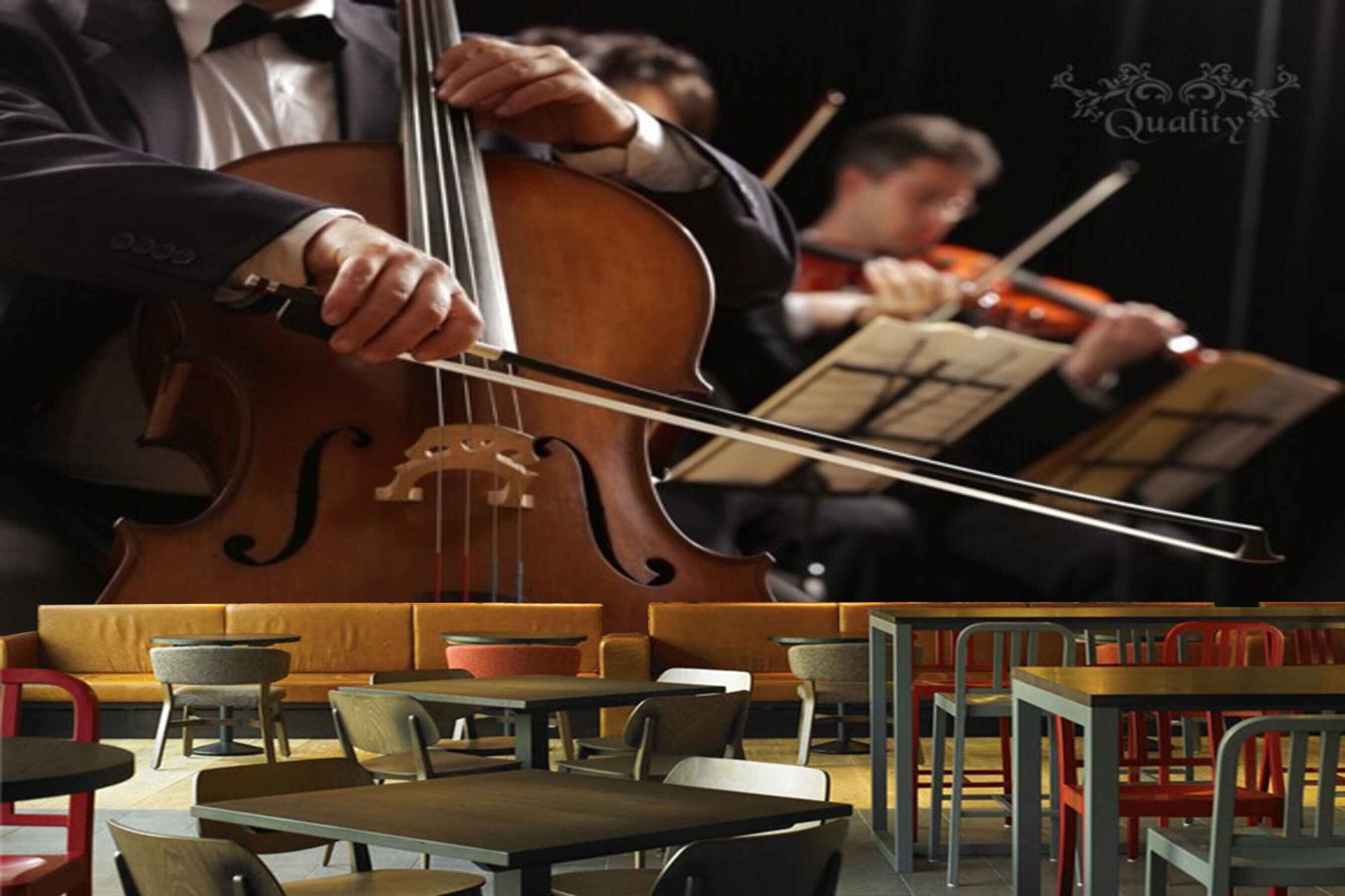 Avikalp MWZ3458 Violin Playing Men HD Wallpaper for Disco Club Karaoke Avikalp MWZ3458 Violin Playing Men HD Wallpaper for Disco Club Karaoke