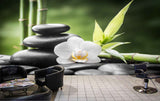 Avikalp MWZ3647 White Flowers Leaves Stones HD Wallpaper for Spa Avikalp MWZ3647 White Flowers Leaves Stones HD Wallpaper for Spa