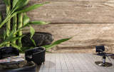 Avikalp MWZ3654 Green Stems Leaves Black Stones Wooden Board HD Wallpaper for Spa Avikalp MWZ3654 Green Stems Leaves Black Stones Wooden Board HD Wallpaper for Spa
