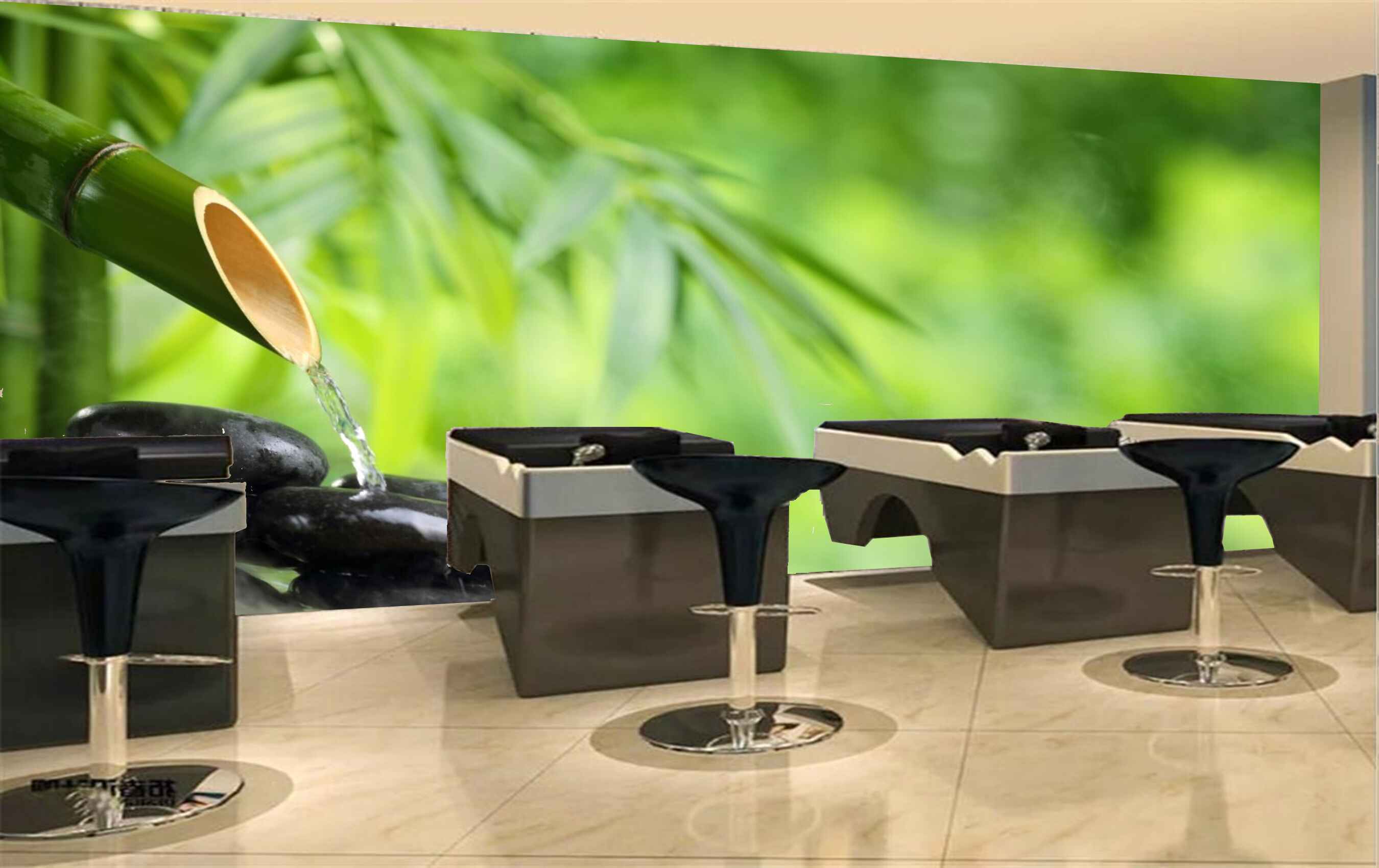 Avikalp MWZ3667 Trees Leaves Black Stones Water HD Wallpaper for Spa Avikalp MWZ3667 Trees Leaves Black Stones Water HD Wallpaper for Spa