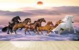 Avikalp MWZ3780 Seven 7 Horses Racing Mountains Sun HD Wallpaper Avikalp MWZ3780 Seven 7 Horses Racing Mountains Sun HD Wallpaper