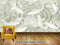 Avikalp Exclusive AVZ0452 Every Year There Is A Jade Stone Carving Lotus Pond Background Wall HD 3D Wallpaper
