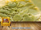 Avikalp Exclusive AVZ0484 Jade Three Dimensional Carved Jade Carving Lotus  L Background HD 3D Wallpaper