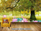 Avikalp Exclusive AVZ0500 New Chinese Love Tree Lotus Tv Background Wall HD 3D Wallpaper