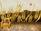 Avikalp Exclusive AVZ0734 Modern Minimalist Golden Wheat Ears Rural Tv Background Wall HD 3D Wallpaper