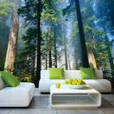 Avikalp Exclusive AWZ0077 Papel Forests Nature Fog Trees Forest HD 3D Wallpaper