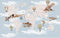 Avikalp Exclusive AWZ0116 World Map And Fly Trip HD 3D Wallpaper
