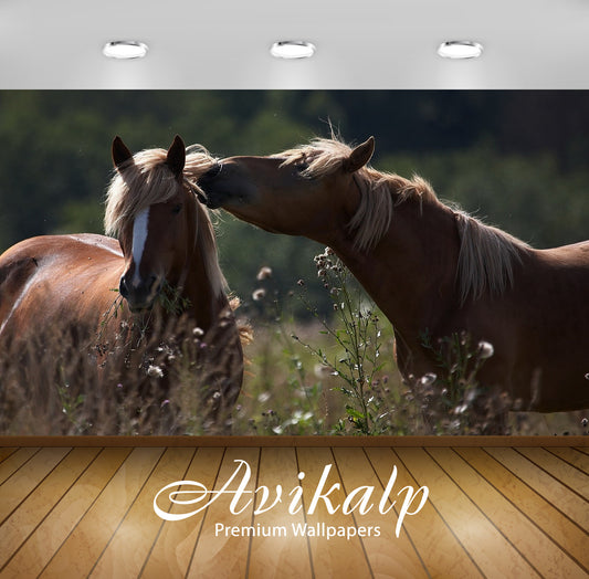 Avikalp Exclusive 2 Horses AWI1056 HD Wallpapers for Living room, Hall, Kids Room, Kitchen, TV Backg