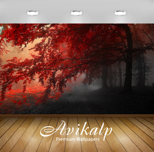 Avikalp Exclusive Autumn Beauty AWI1076 HD Wallpapers for Living room, Hall, Kids Room, Kitchen, TV