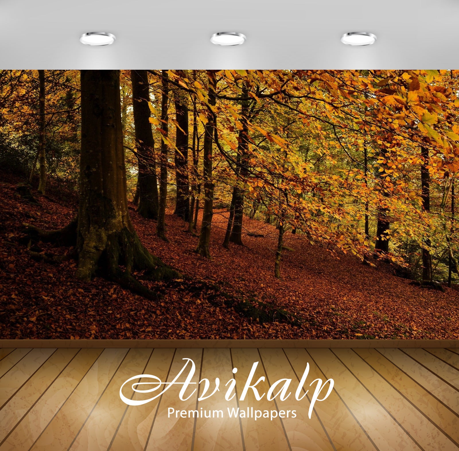 Avikalp Exclusive Autumn Season AWI1077 HD Wallpapers for Living room, Hall, Kids Room, Kitchen, TV