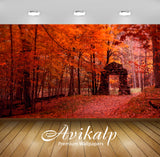 Avikalp Exclusive Beautiful Autumn AWI1081 HD Wallpapers for Living room, Hall, Kids Room, Kitchen,