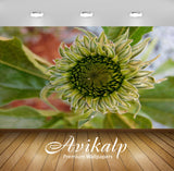 Avikalp Exclusive Premium flower HD Wallpapers for Living room, Hall, Kids Room, Kitchen, TV Backgro
