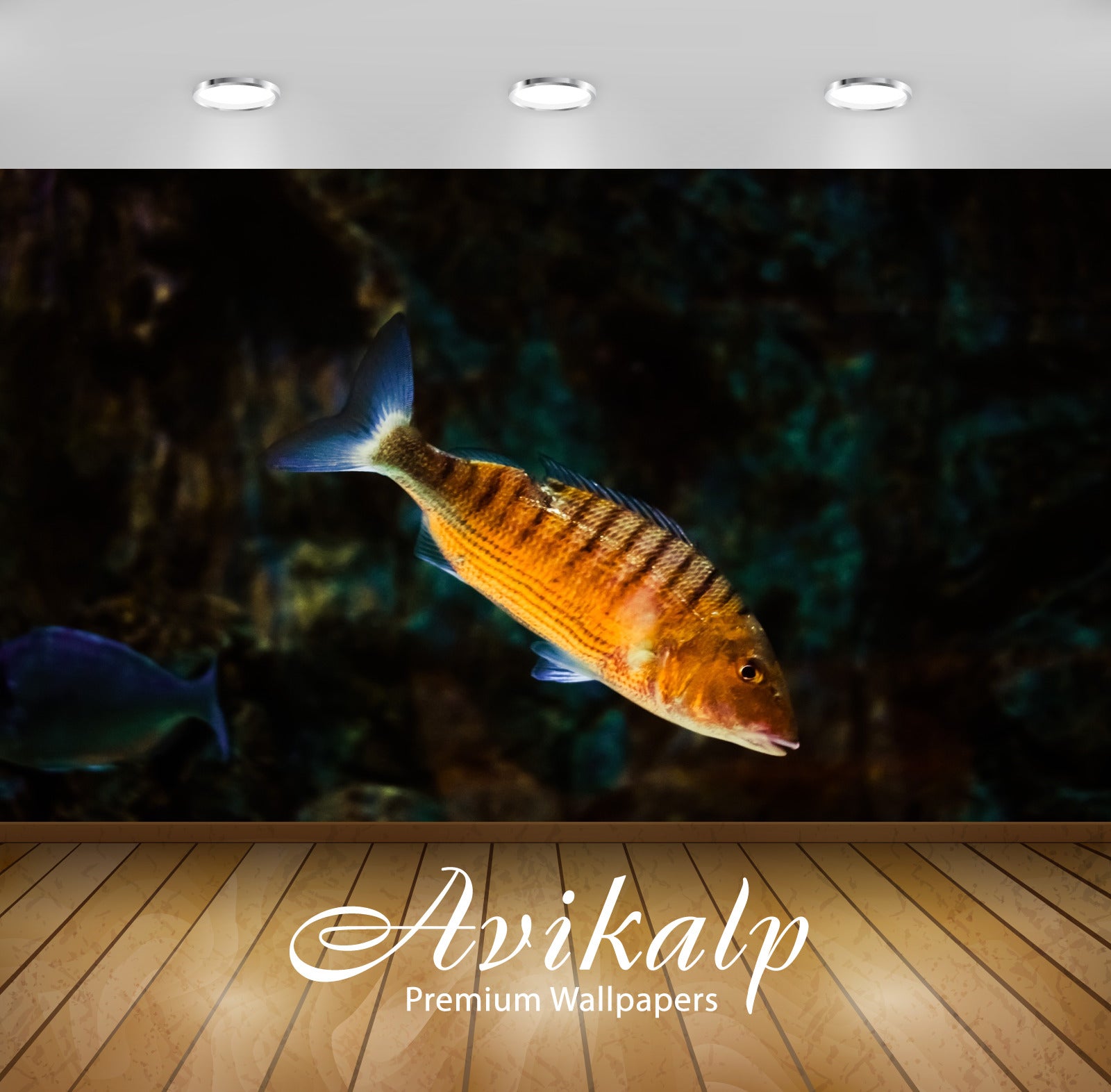 Avikalp Exclusive Fish AWI1125 HD Wallpapers for Living room, Hall, Kids Room, Kitchen, TV Backgroun