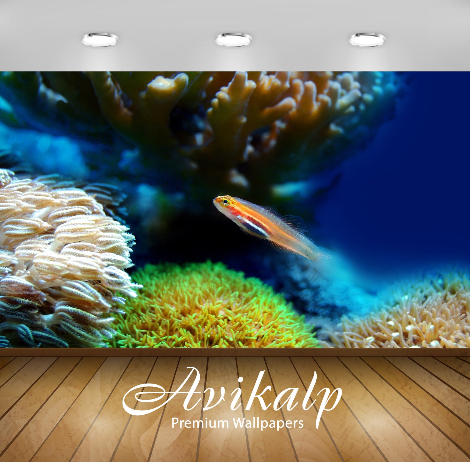Avikalp Exclusive Fish AWI1128 HD Wallpapers for Living room, Hall, Kids Room, Kitchen, TV Backgroun
