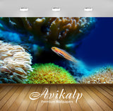 Avikalp Exclusive Fish AWI1128 HD Wallpapers for Living room, Hall, Kids Room, Kitchen, TV Backgroun