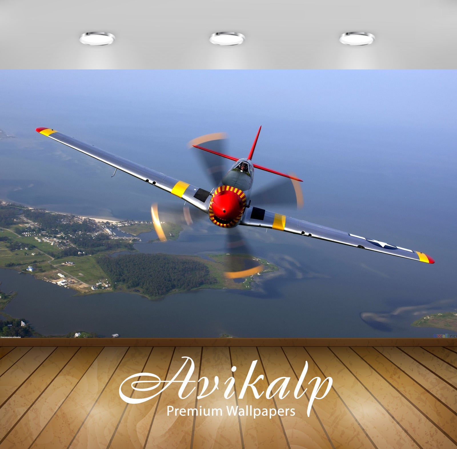 Avikalp Exclusive Fly High AWI1130 HD Wallpapers for Living room, Hall, Kids Room, Kitchen, TV Backg