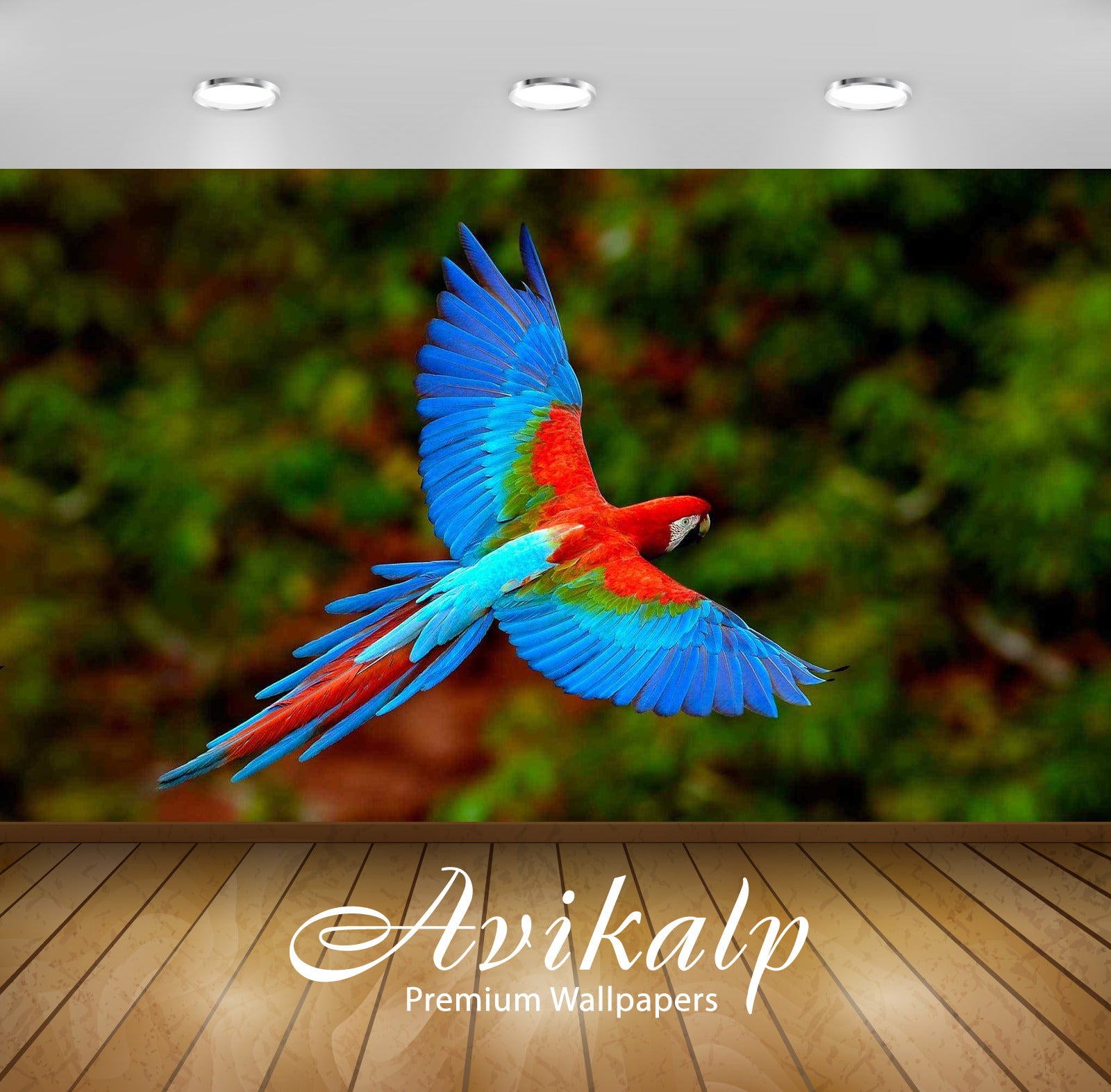 Avikalp Exclusive Kingfisher AWI1145 HD Wallpapers for Living room, Hall, Kids Room, Kitchen, TV Bac