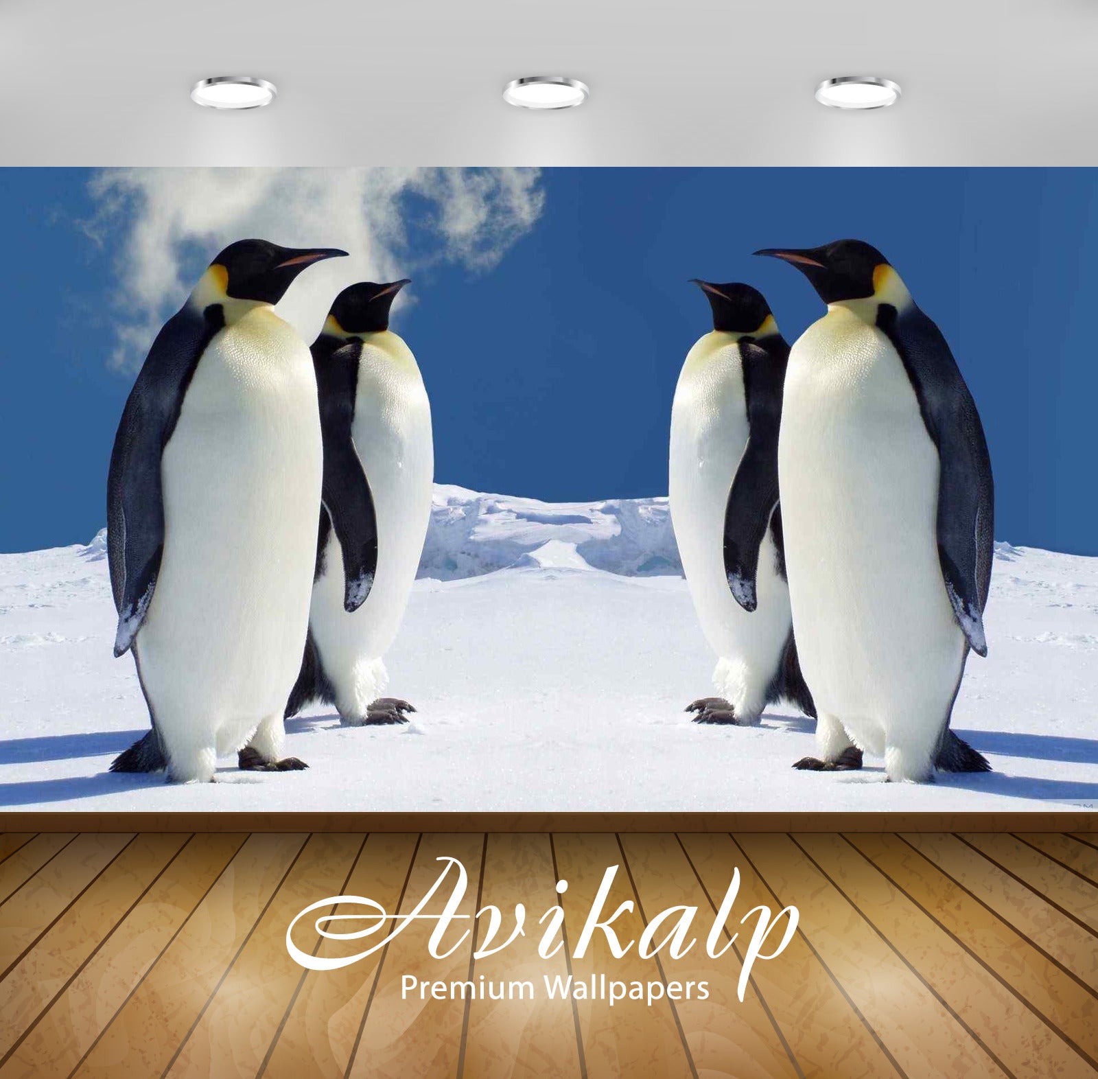 Avikalp Exclusive Penguins AWI1174 HD Wallpapers for Living room, Hall, Kids Room, Kitchen, TV Backg