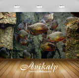 Avikalp Exclusive Piranhas AWI1177 HD Wallpapers for Living room, Hall, Kids Room, Kitchen, TV Backg