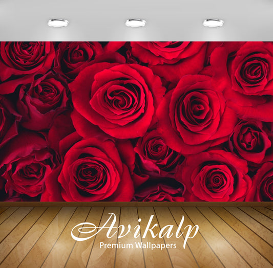 Avikalp Exclusive Red Roses AWI1181 HD Wallpapers for Living room, Hall, Kids Room, Kitchen, TV Back