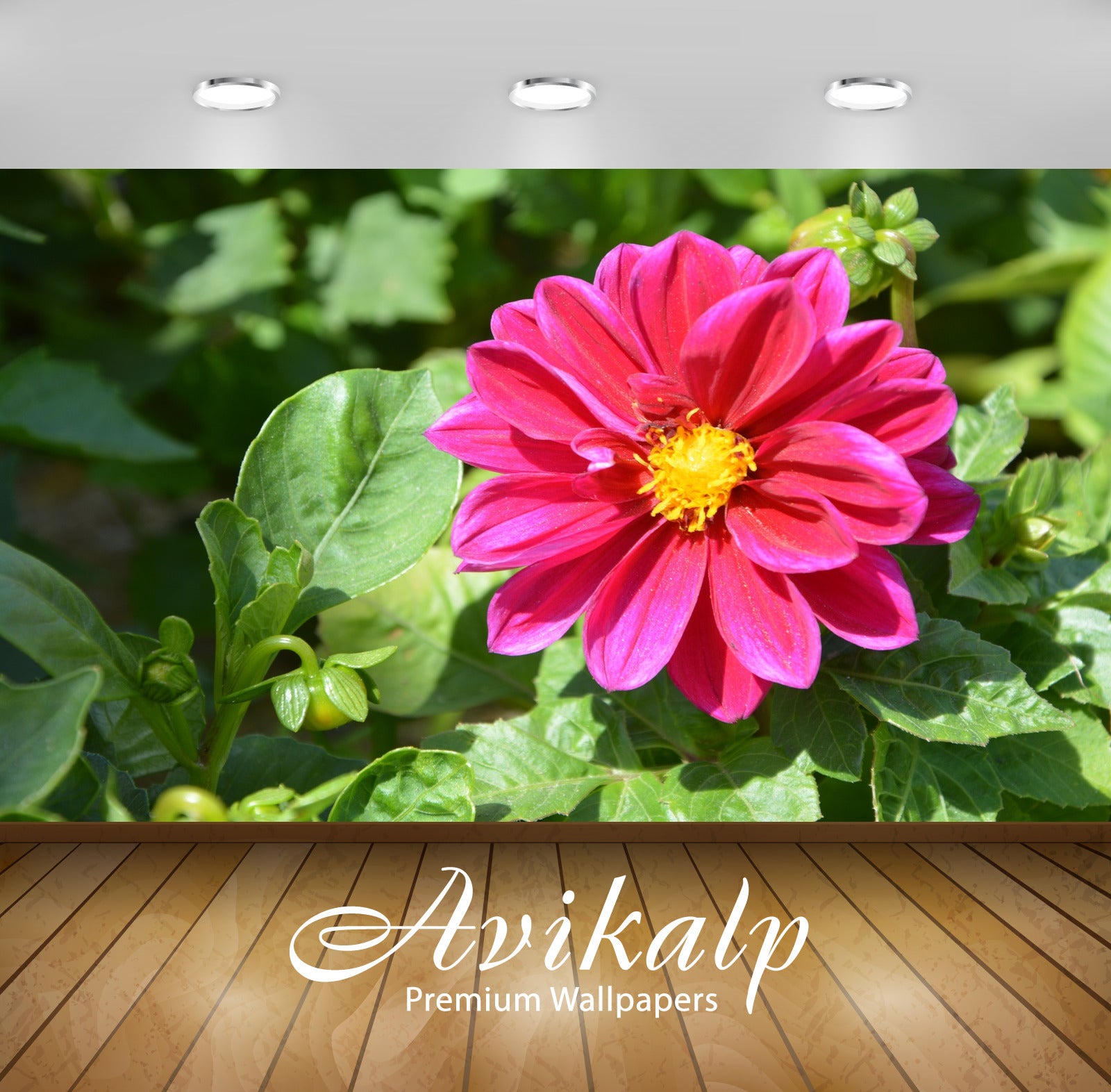 Avikalp Exclusive Premium flowers HD Wallpapers for Living room, Hall, Kids Room, Kitchen, TV Backgr