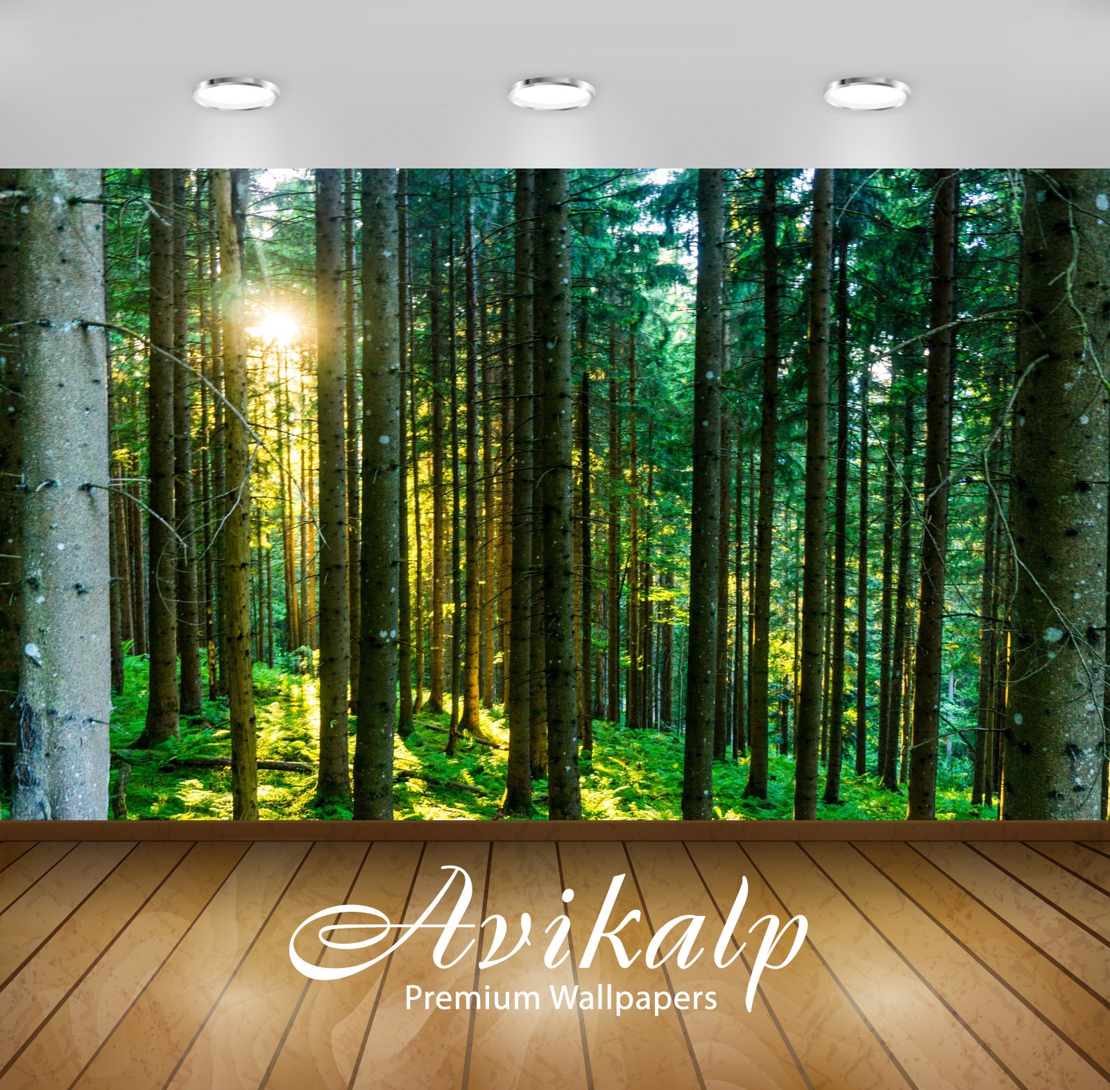 Avikalp Exclusive Premium forest HD Wallpapers for Living room, Hall, Kids Room, Kitchen, TV Backgro